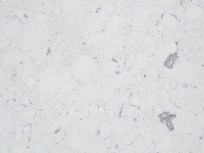 BIANCO-RIVERS